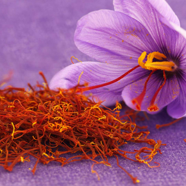 Nhụy hoa nghệ tây Tashrifat 100% Iranian Saffron