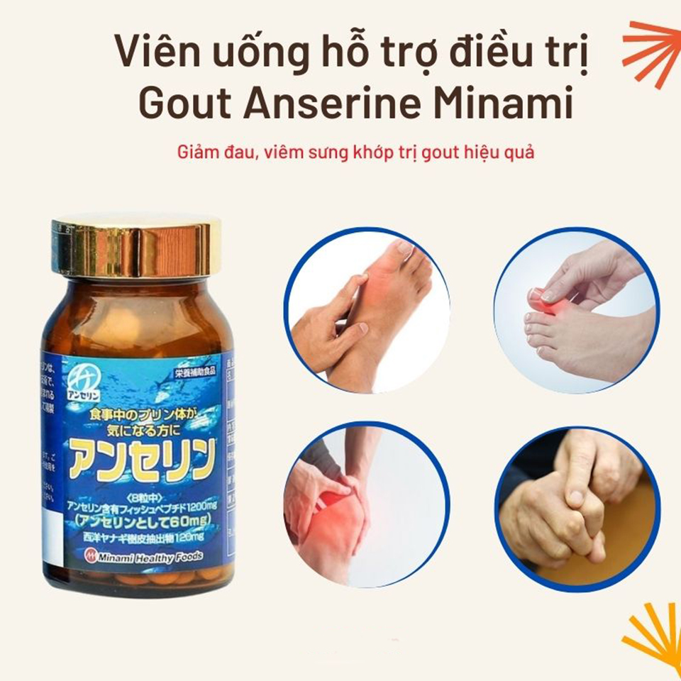 Viên uống hỗ trợ điều trị bệnh Gout Anserine Minami